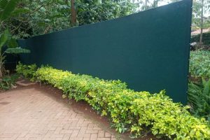Privacy Screen