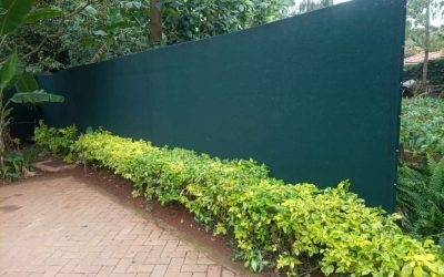Privacy Screen